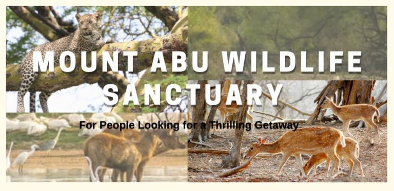 mount abu wildlife sanctuary