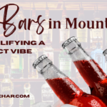 Top Bars in Mount Abu