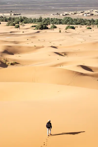 A lone traveler standing amidst the expansive golden sand dunes near Jaisalmer, highlighting the desert's vast beauty on the taxi route from Abu Road.